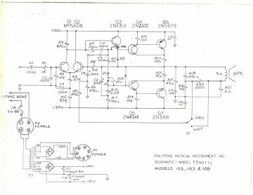 Polytone-55W PA_100_102_103.Amp preview